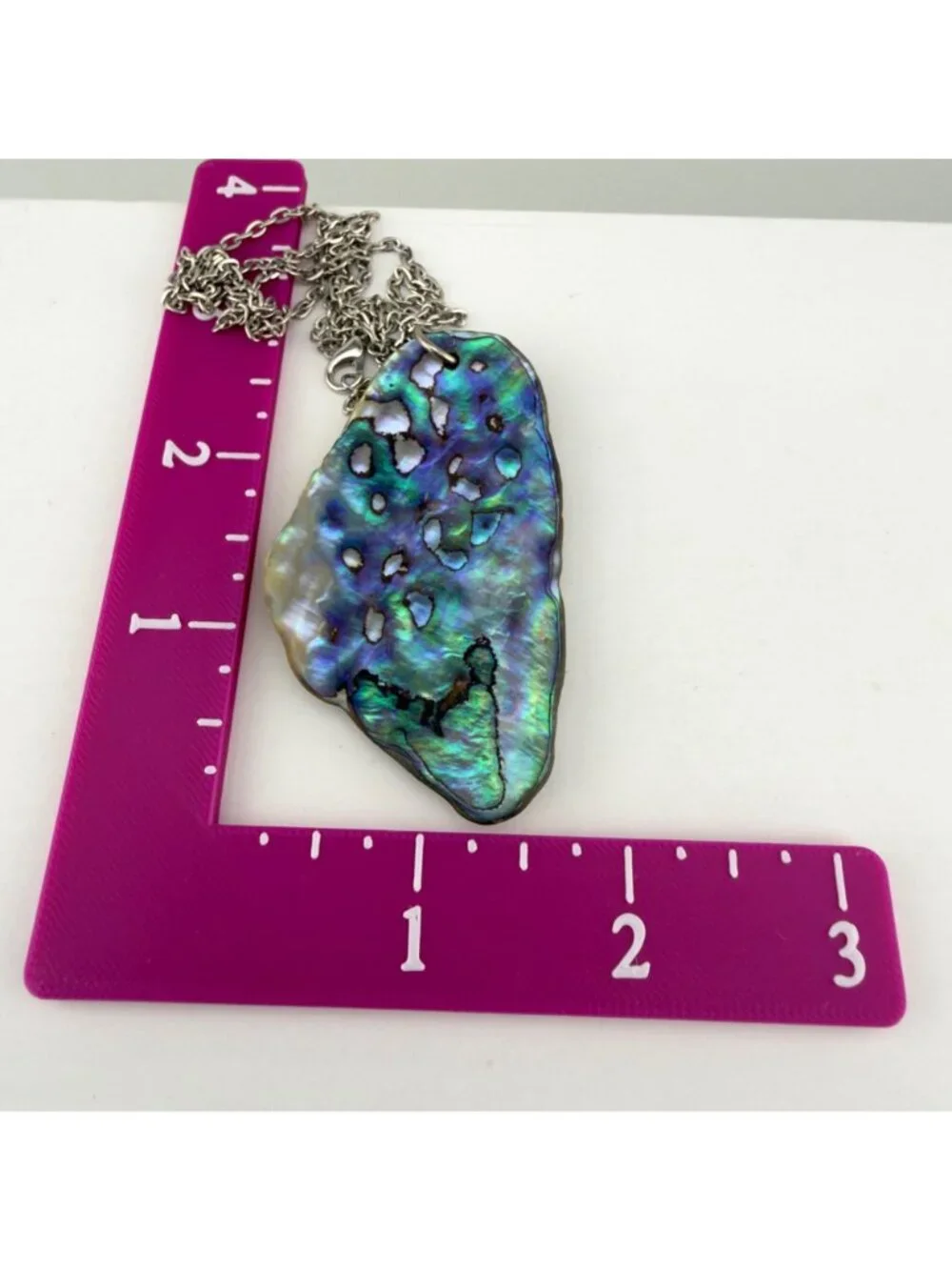 Natural Abalone Shell Pendant Necklace Silver Tone Chain Iridescent 24